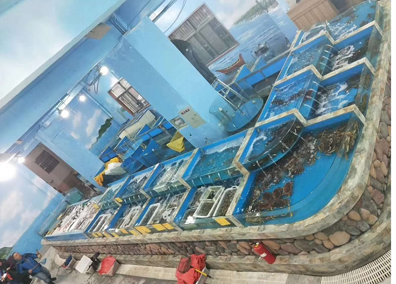 生活超市海鮮(xian)池6.jpg