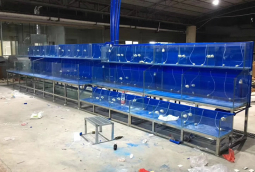 海鮮(xian)市場(chang)製(zhi)冷魚(yu)池定做