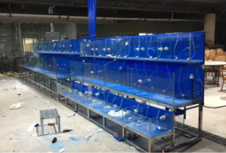 海鮮(xian)市場(chang)製(zhi)冷魚(yu)池定做