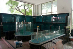 農莊淡水魚(yu)池建造