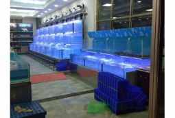 水產(chan)店活海鮮(xian)養(yang)殖魚(yu)池定做