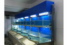 水產(chan)店活海鮮(xian)養(yang)殖魚(yu)池定做