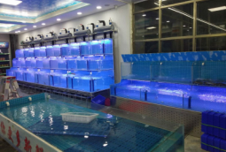 水產(chan)店活海鮮(xian)養(yang)殖魚(yu)池定做