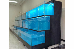 梯形玻璃海鮮(xian)魚(yu)池定做