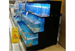 梯形玻璃海鮮(xian)魚(yu)池定做
