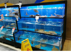 深圳海鮮(xian)池定做