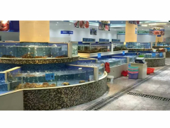 廣(guang)州海鮮(xian)池定做