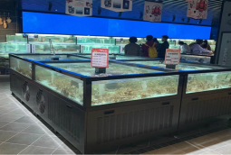 廣(guang)州永輝(hui)超市定做魚(yu)池，超市貝(bei)殼(qiao)魚(yu)缸尺寸，蝦(ha)蟹魚(yu)池定做